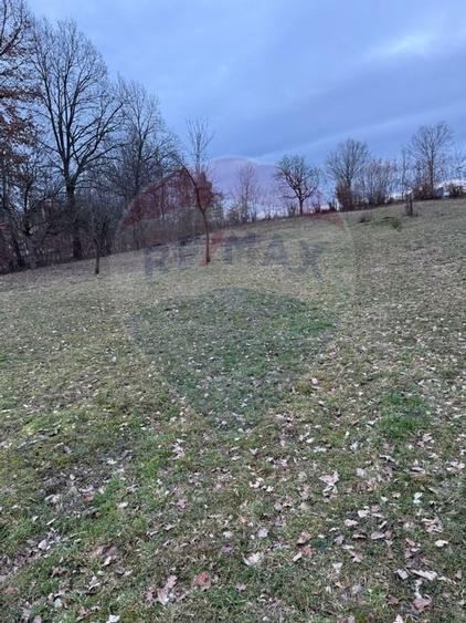 Teren intravilan cu priveliste de vanzare in Rus - 2