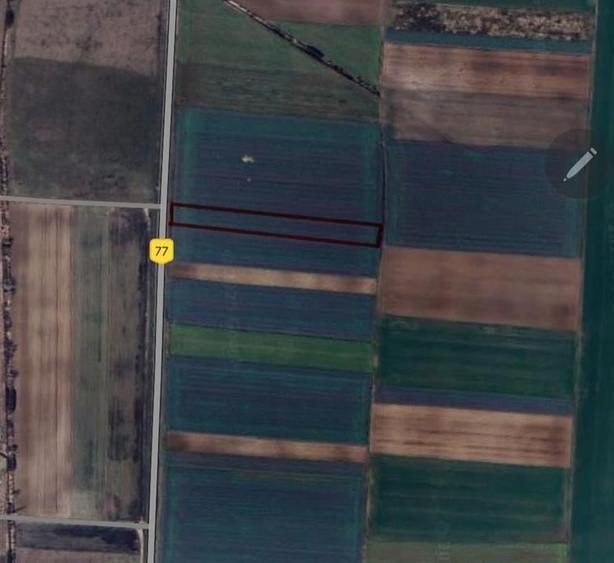 RECO Teren extravilan, 5755 mp, Nojorid - 1