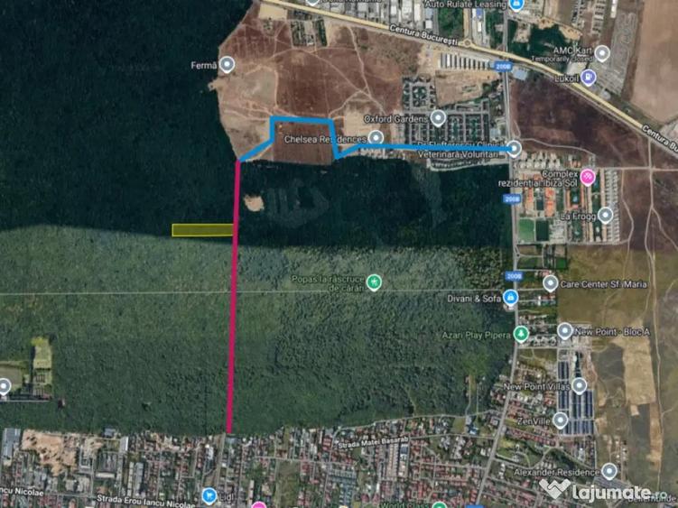 Raritate absoluta: Teren 20.000 mp in inima Padurii Banea - 6