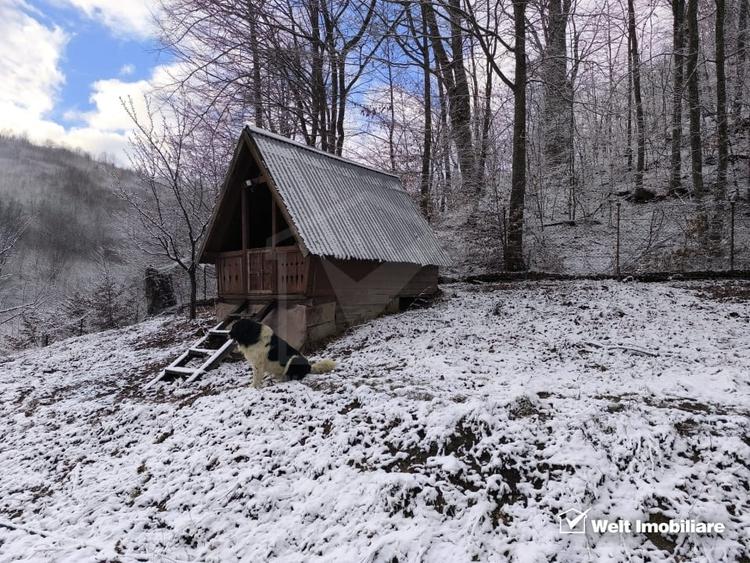 Casa de vacanta, cu lac, 5640 mp teren, Huta, com. Chiuiesti, jud. Cluj - 43