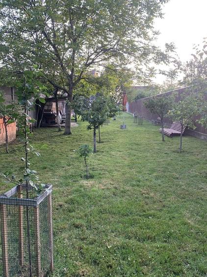 Girocului-Kaufland | Teren 879 mp | Proiect casă 2 | Zonă excelentă - 7