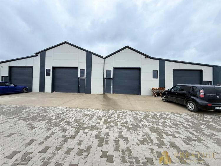 Hala 210 mp de inchiriat in Livada la 5 min de Aeroportul Oradea - 8