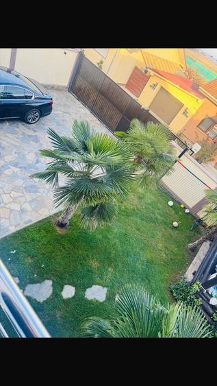 Casa de vanzare Paleu - 8