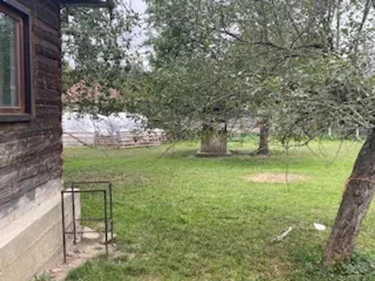 Casa tradi?ionala din lemn - 1