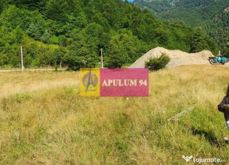 Teren Jude?ul Valcea - Brezoi, Valea lui Stan - 6