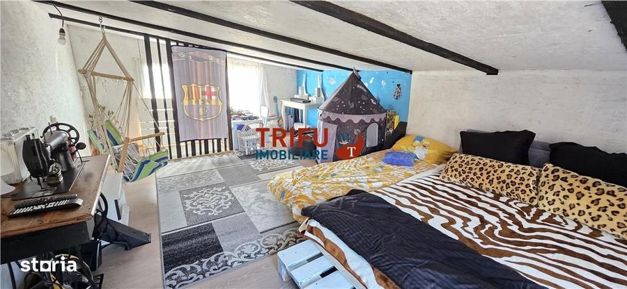 Teren Intravilan cu Cabana in Micesti, Alba Iulia - 10