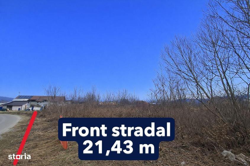 Teren intravilan 4.797 mp Bujoreni (Lazaresti) zona Lic, P+2E - 1