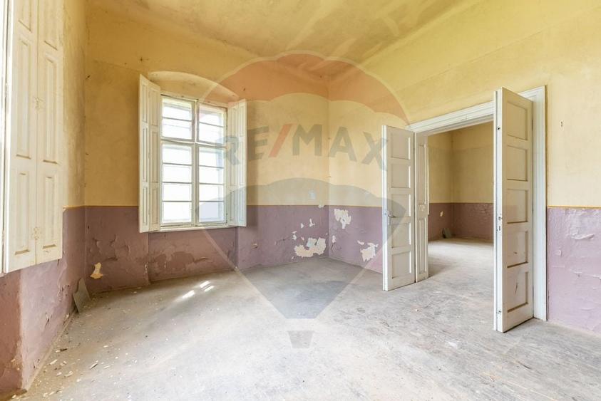 Conac aristocratic secolul XIX , domeniu  2,5 hectare -- Paulis, Arad - 11