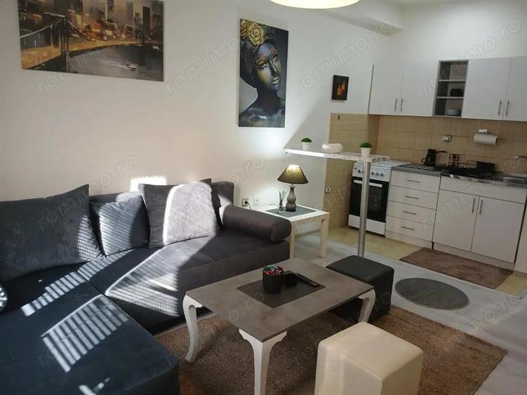 Garsoniera de inchiriat in zona Raul Doamnei - 1