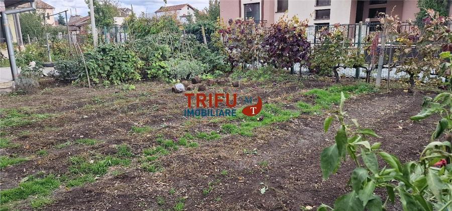 Teren Construcții intravilan de 500 mp, în Ampoi 1