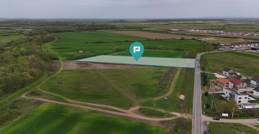 Teren intravilan 5800 mp in Remetea Mare - 2