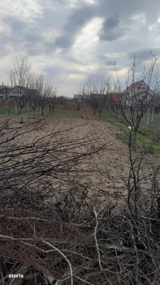 Teren + casa batraneasca - 2