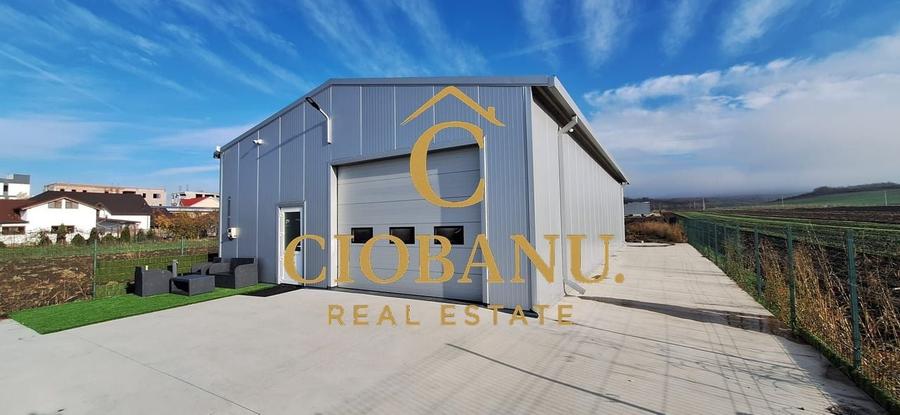 Hala de vanzare in Racarii de Jos - 4