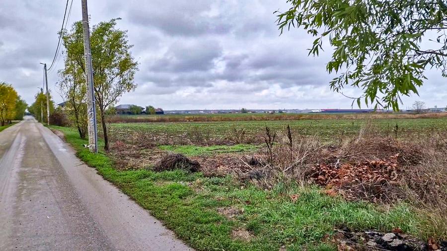 Teren intravilan, 1320 mp, la asfalt, in Balotesti - 8