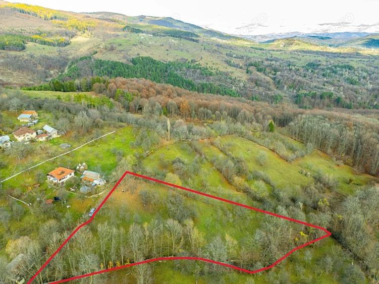Teren intravilan 4384 mp Comuna Talea, jude?ul Prahova - 3