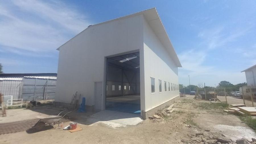 Magurele(Darasti),hala 200 mp,600 mp teren,fara mentenanta - 6