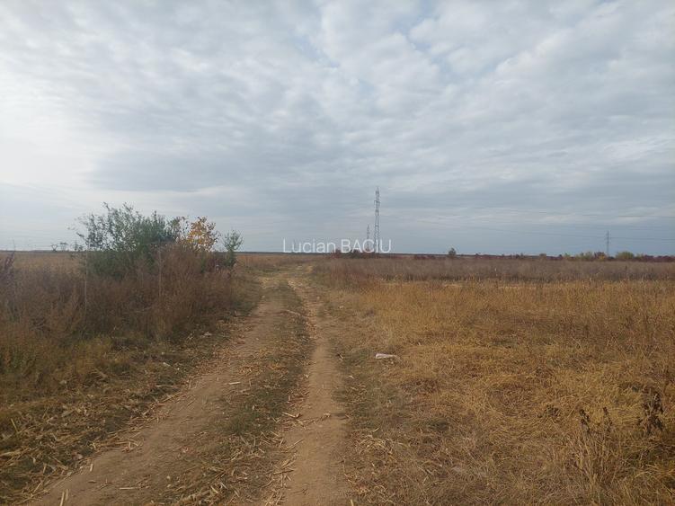 Teren dezvoltare rezidentiala / industriala, Dumbrava / Targoviste - comision 0% Teren dezvoltare rezidentiala / industriala, Dumbrava / Targoviste - comision 0%