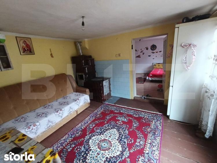 Casa renovabila 5 camere baie si anexe 2800 mp teren in Pianu de Sus - 4