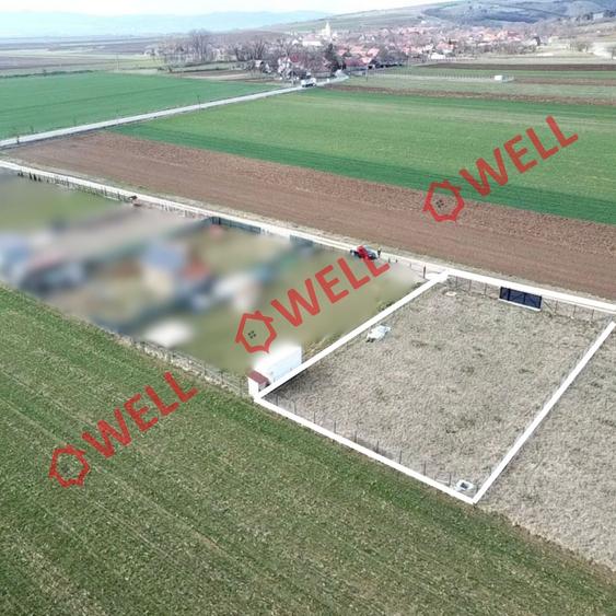 Teren intravilan de vânzare în Angheluș! - 6