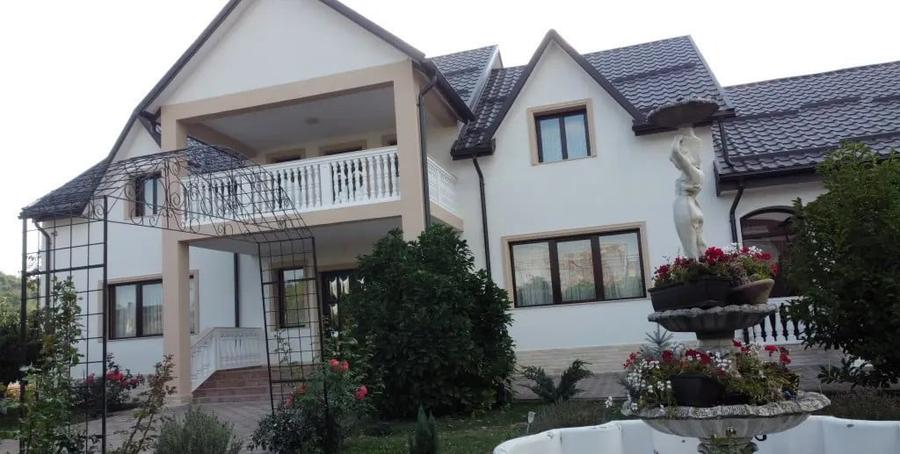 Vila superba 400 m2 cu 5000m2 teren Roznov - 2