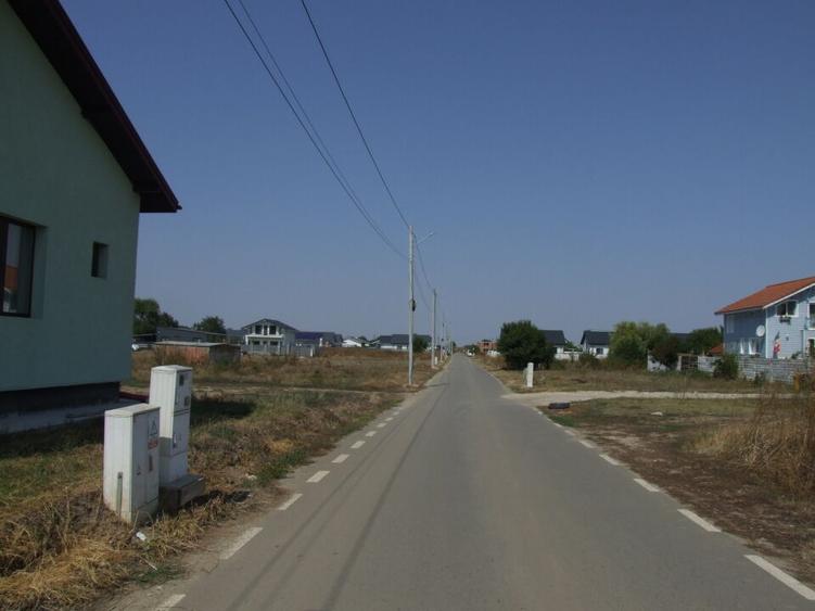 Domnesti-Salciei-stradal - 4