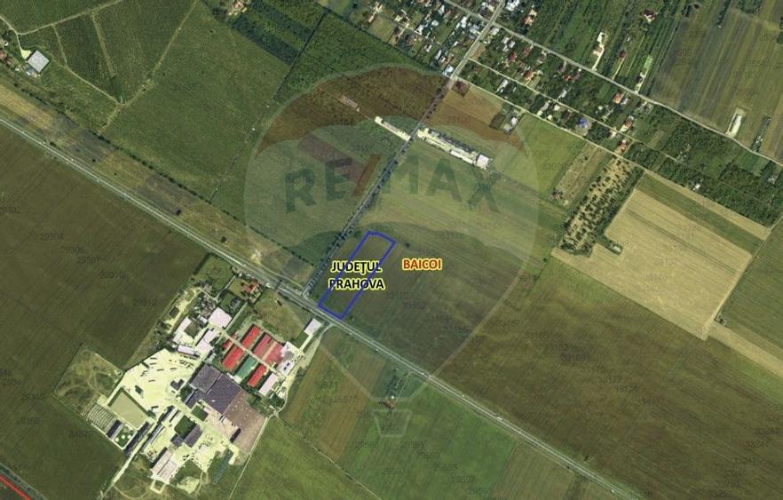 Teren 15,637mp Baicoi deschidere la DN1 - 5