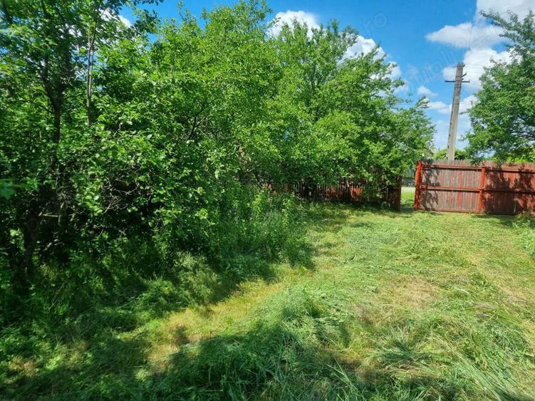 Casa si teren Comuna Fagetelu - 4