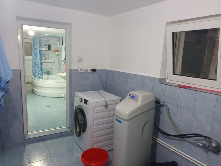 Casa cu 1ha teren la Baisa - 9