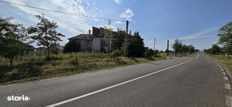 Constructii la strada in Cucorani pe 1 ha de teren - 8
