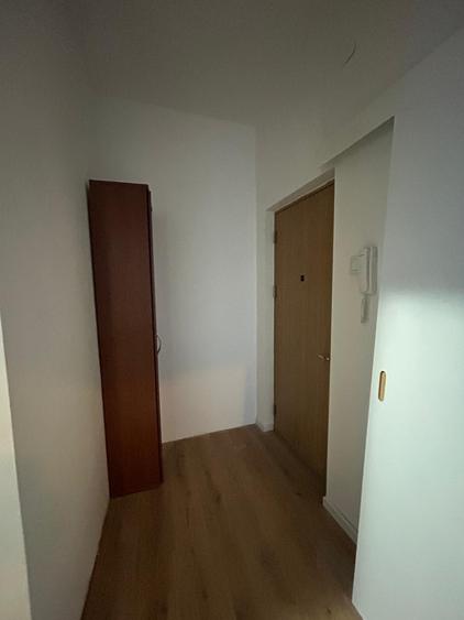 APARTAMENT MOBILAT SI UTILAT,PRIMUL CHIRIASI - 10
