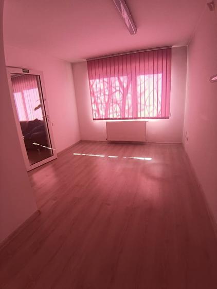 Cosbuc, spatiu comercial, 50mp - 4