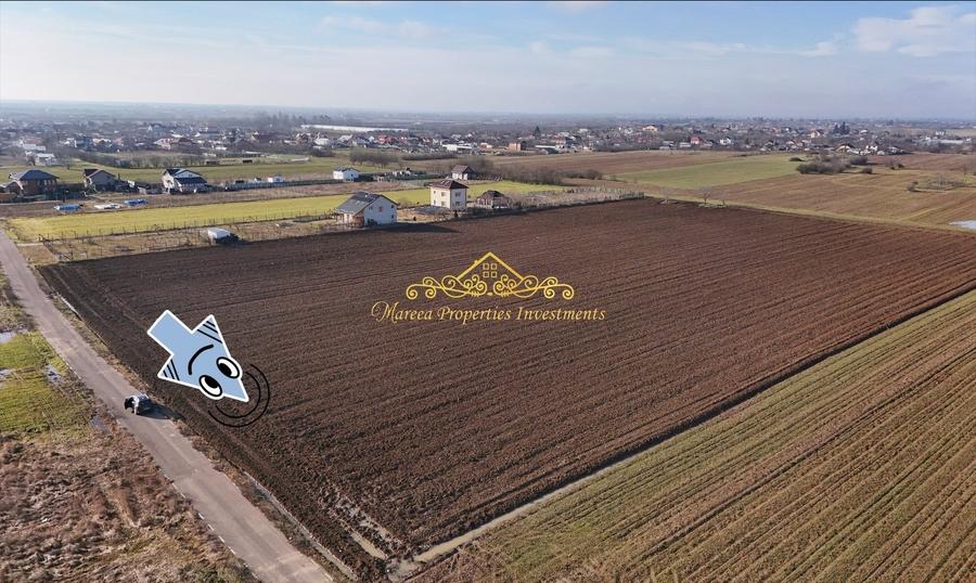 Teren intravilan case 10.000 mp, Str Sportului, Ulmi - 1