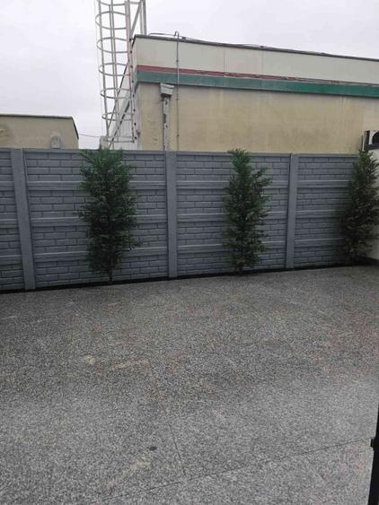 2 camere Colentina Parter Bloc Nou Parcare Subterana + Curte/Terasa - 3