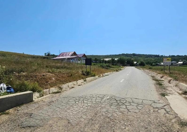 Teren 2.340mp, Dancas Miroslava, - 5