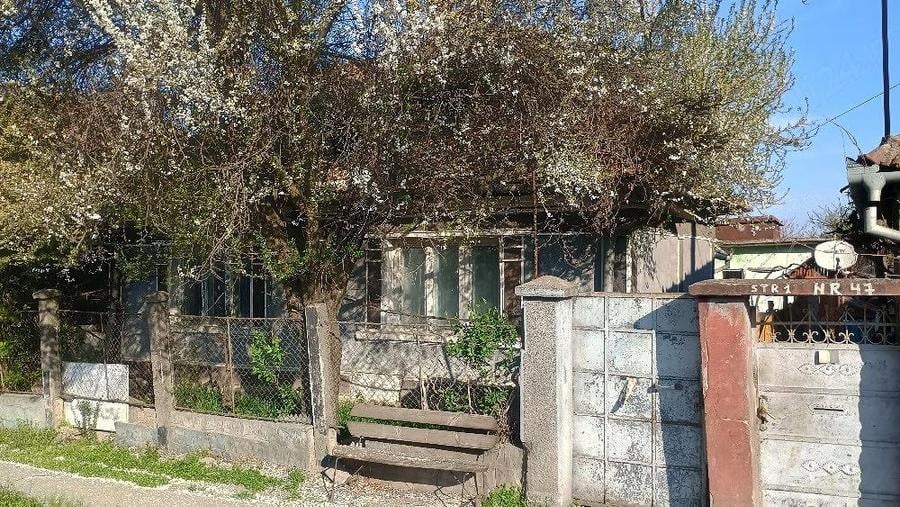 vand casa veche - 1