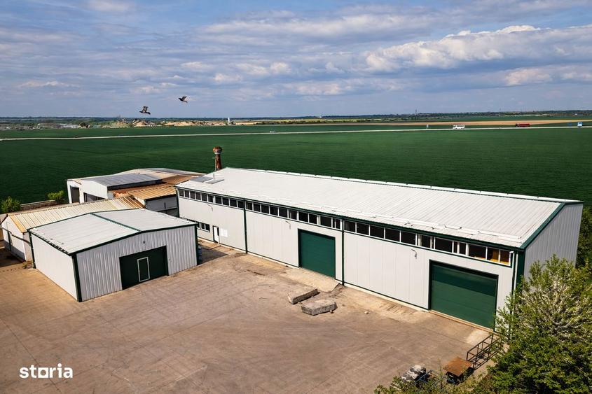 Complex industrial / Hala / Depozitare / Productie - IMOBIHOR - 8