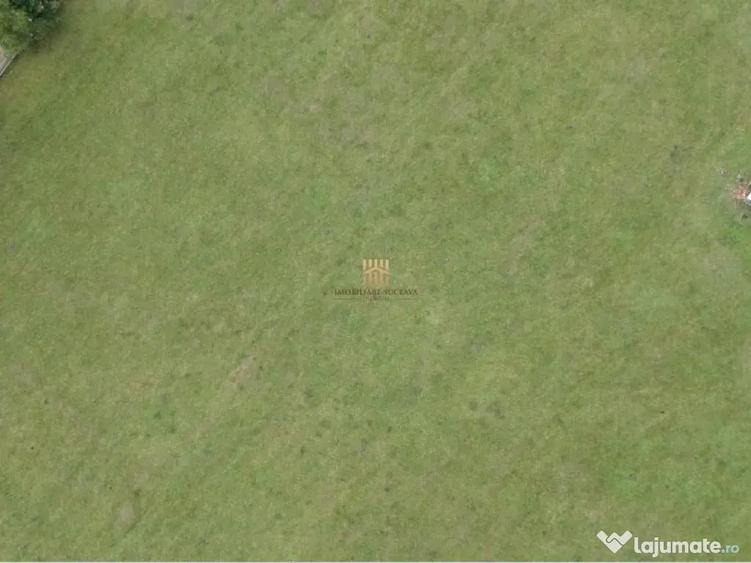 Teren 2804 mp, la munte! In Bucovina Fundu Moldovei! - 3