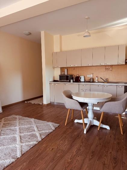 Artament 2 camere 50 mp utili, complet mobilat- zona de case - 6