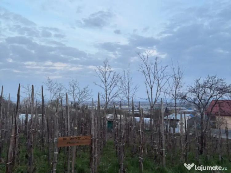 Teren de vanzare, 600 mp, zona Independentei - 3