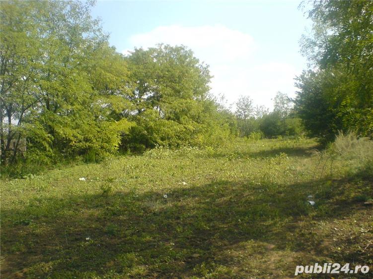 Teren intravilan Sinesti Catrunesti 1200 mp judetul Ialomita - 1