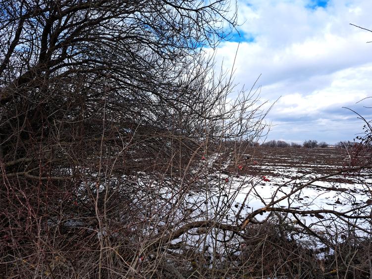 TEREN SNAGOV LANGA ARTIST THE BARN - 4