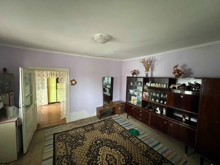 Vand casa in Tasad cu teren de 5793mp la asfalt, front stradal de 30m - 2