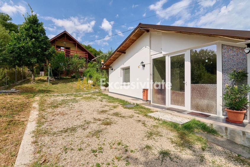 Două case in Babana,aproape de Pitești priveliște de poveste - 25