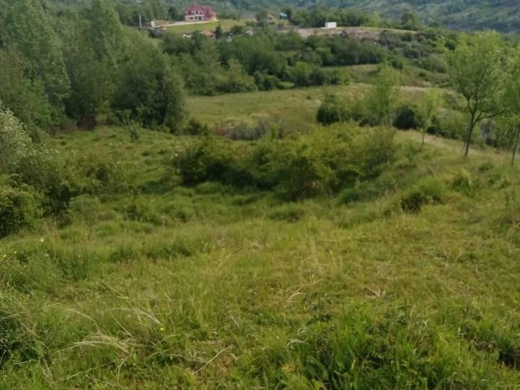 Teren de 4574 mp, în Predeal
