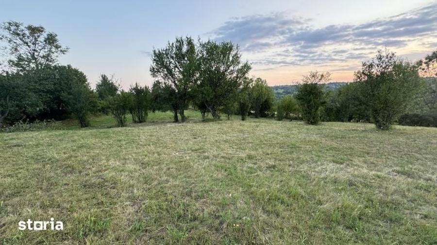 Teren de 5900 mp, în Baia de Fier
