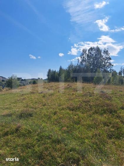 Teren de 4604 mp, în Ponor