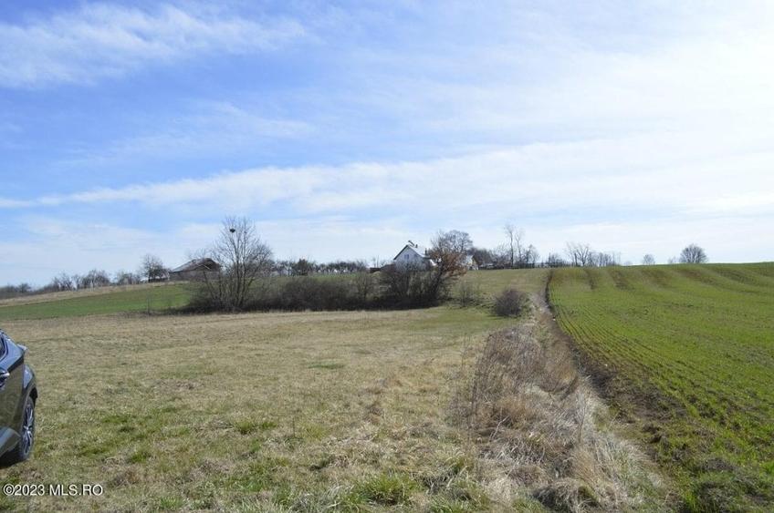 Suseni - Teren intravilan rezidential, suprafata 4000 mp! - 9