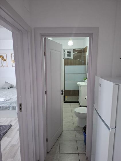 Garsoniera decomandata Craiovita Noua - 4