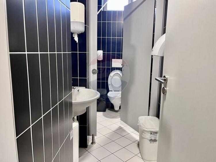 Spatiu de birouri disponibil in Armeneasca - 13