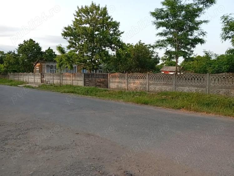 Vand casa in Movila Miresii - 10